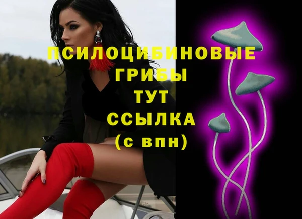 ешки Куйбышев