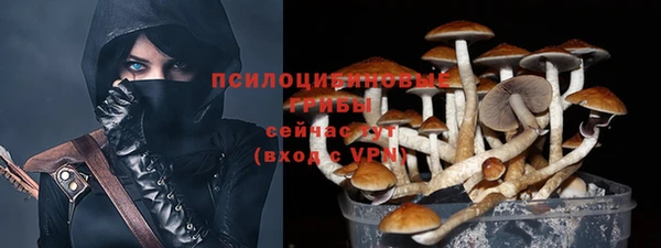 ешки Куйбышев