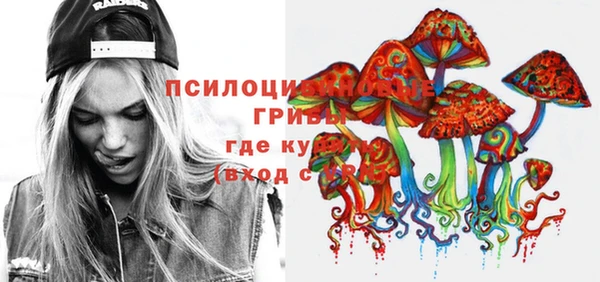 гашик Кукмор