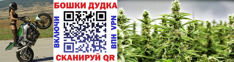Купить закладки  Макушино  Шишки марихуана марихуана 